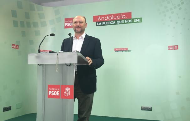 Pradas no da "credibilidad" a la "hipótesis" del Congreso del PSOE y advierte que los ciudadanos "no lo entenderían"