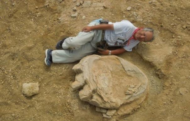 Una huella gigante de dinosaurio aparece en el desierto de Gobi