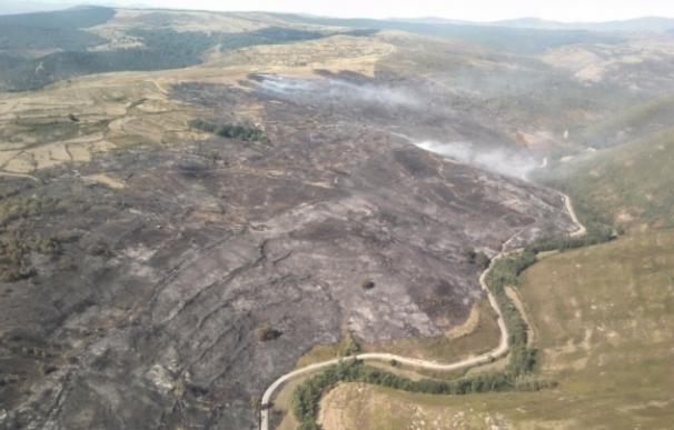 El incendio de Ruerrero está "prácticamente extinguido" tras quemar casi 250 hectáreas de matorral