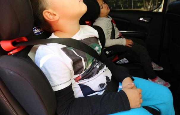 La campaña de uso del cinturón de seguridad y sistemas de retención infantil concluye en León con 27 denuncias