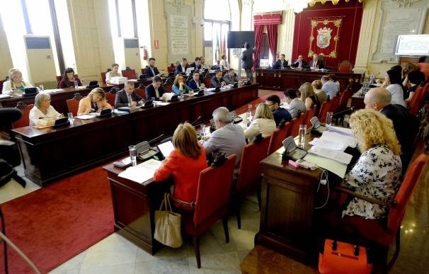 El Pleno de Málaga insta a la Junta a actuar en los cauces ante el riesgo de época de lluvias