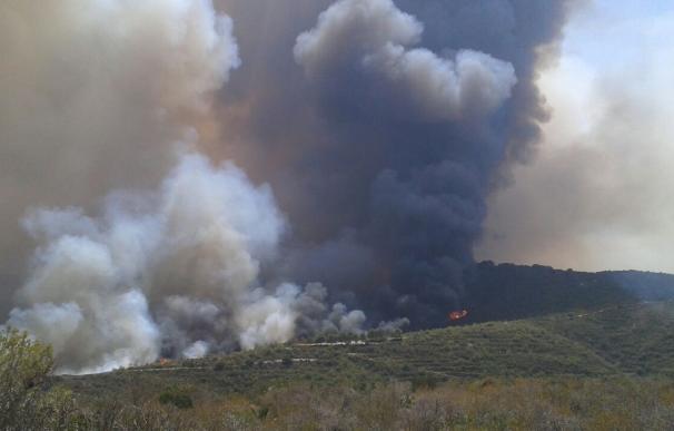 El Grupo Operativo de Investigación de la Generalitat ha analizado 4.320 Incendios Forestales en los últimos diez años