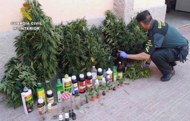 Guardia Civil desmantela una veintena de plantas en un cultivo casero de marihuana en Águilas