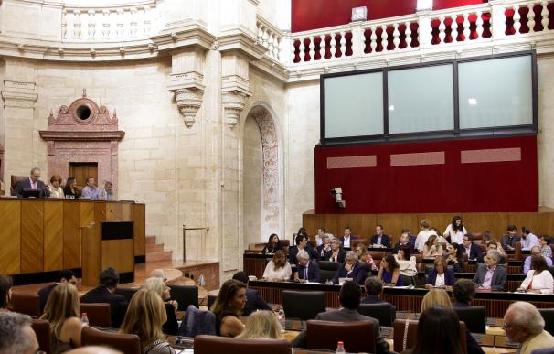 El Parlamento aborda este miércoles la ley de Podemos para una oficina anticorrupción y el inicio de curso universitario