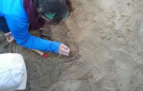Hallan en el yacimiento de A Lanzada el esqueleto de un bebé próximo al del adulto de 2.000 años descubierto