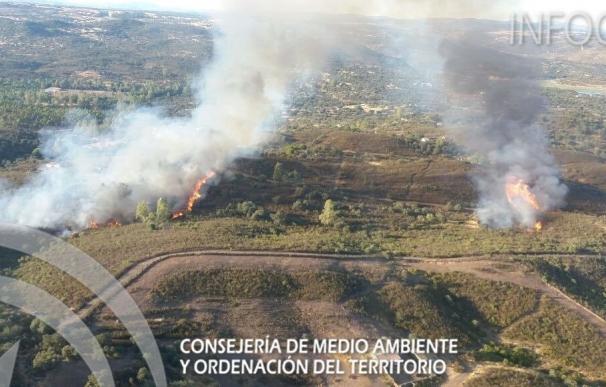 Estabilizado el incendio forestal declarado en El Ronquillo