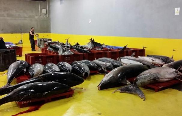 Dos pesqueros de bandera francesa son retenidos en puerto de Pasaia por no declarar sus capturas de atún rojo