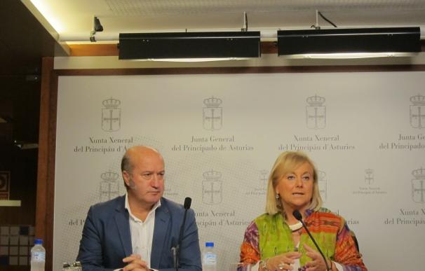 Mercedes Fernández (PP) acusa al PSOE de tener "embargado" al conjunto de la sociedad