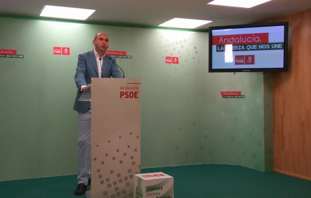 Conejo (PSOE-A) dice que el partido necesita cambiar "muchas cosas" y un debate en profundidad, no un congreso "exprés"