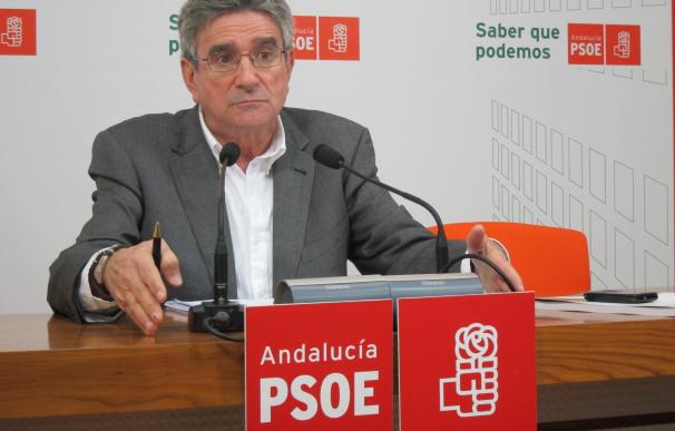 Pizarro dice que "nunca" ha visto una crisis en el PSOE como la de ahora y ve "muy difícil" superar el "roto interno"