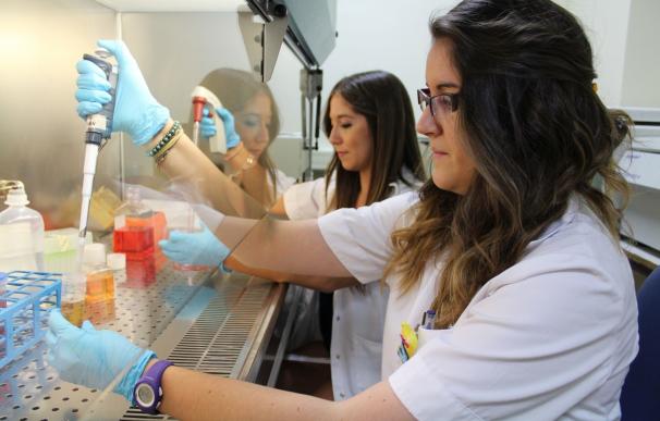 Investigadores españoles desarrollan un compuesto capaz de frenar la enfermedad renal en pacientes con diabetes