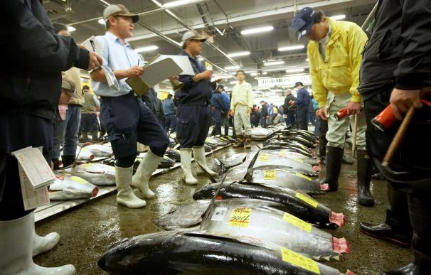 Japón, satisfecho con el rechazo a la prohibición del comercio del atún rojo