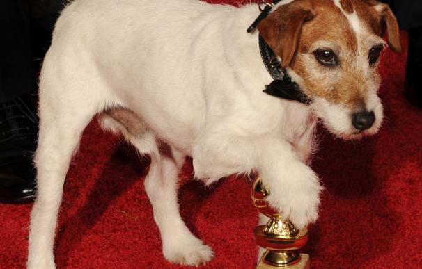 El perro de 'The Artist' con uno de los Globos de Oro que ganó la película