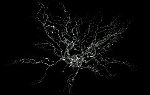 Científicos del CSIC generan un 'DNI eléctrico' para las neuronas