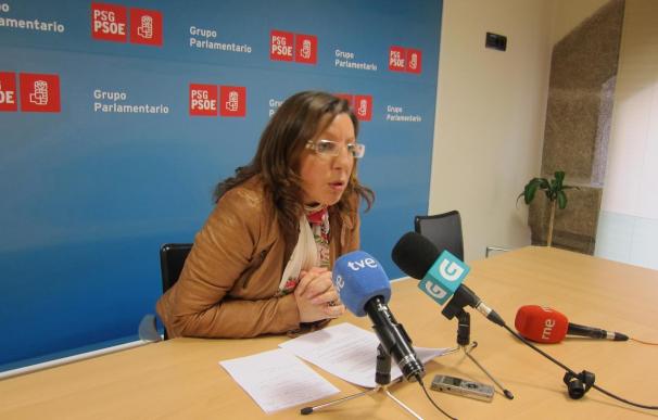 Gallego (PSdeG)dice no conocer que sean "en absoluto ciertas" financiaciones irregulares en el PSOE de Santiago