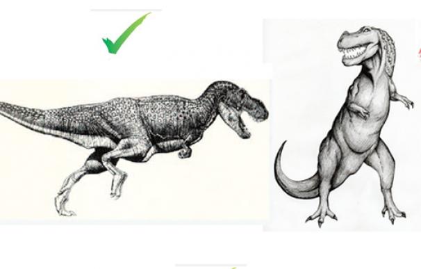 Dos maneras de dibujar a un T. rex
