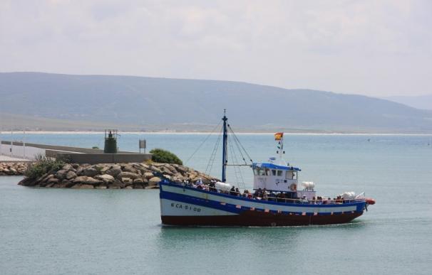 Tres palangreros de Barbate, los primeros barcos gaditanos que ya faenan en Marruecos por el acuerdo de pesca