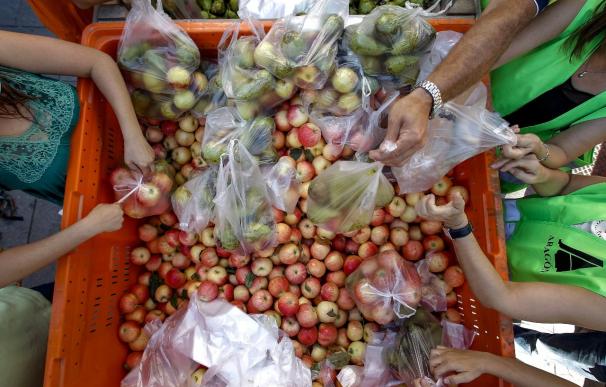 La UE amplía las ayudas a los productores hortofrutícolas por el veto ruso