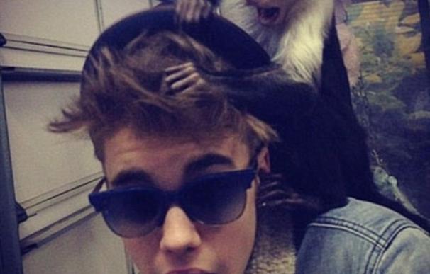 Decomisan el mono de Justin Bieber por carecer de certificado de seguridad