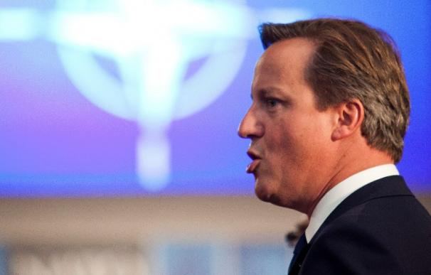 El primer ministro británico, David Cameron, durante la cumbre de la OTAN