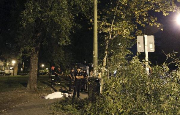 El árbol que ayer causó la muerte de un hombre en Madrid fue revisado hace 20 días
