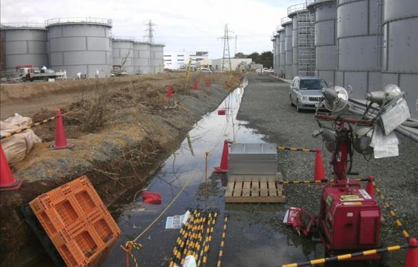 Japón abre, después de un año, parte de la zona de exclusión en Fukushima