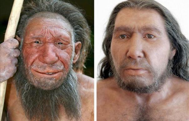 Neandertal y homo sapiens