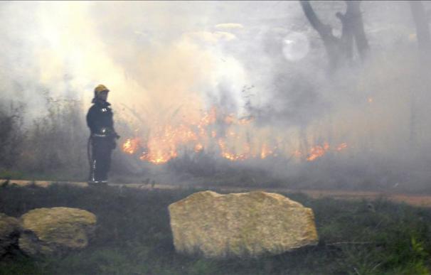 Controlado el incendio próximo a unas viviendas en A Coruña