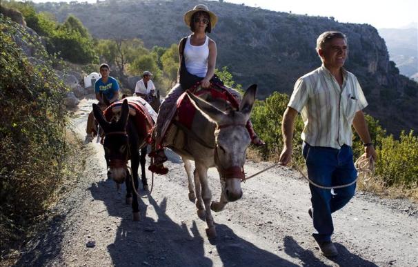 La ruta en "burro taxi" permite ver tumbas árabes y una calzada romana