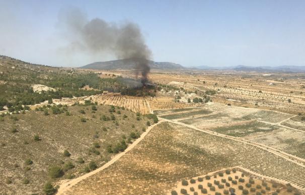 Efectivos del Plan Infomur trabajan para sofocar un incendio forestal en Sierra del Carche (Murcia)