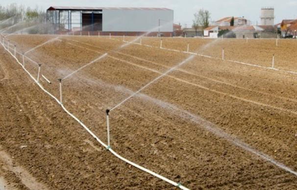 La Comisión Permanente de la Sequía da por concluida la temporada de riego en los sistemas Carrión y Pisuerga-Bajo Duero
