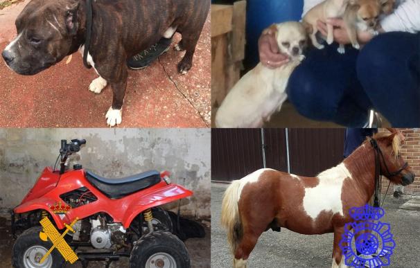 Cuatro detenidos por robar varios perros, un pony y un 'quad'