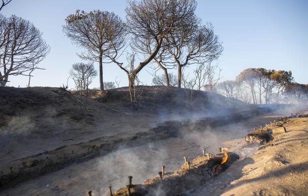 Sanz destaca la importancia de declaraciones de responsables de la carbonería por incendio de Moguer