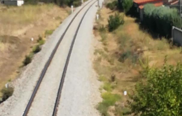 Muere un niño de 12 años al ser arrollado por un tren junto a una urbanización de Pepino (Toledo)