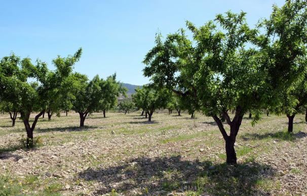 El PAR se suma a la concentración del Bajo Cinca en apoyo a los productores de fruta
