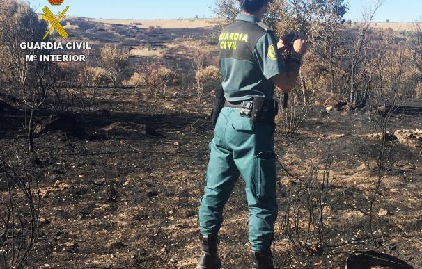 Investigada una persona por el fuego de Pino del Oro (Zamora) el pasado julio, donde ardieron 3.000 hectáreas