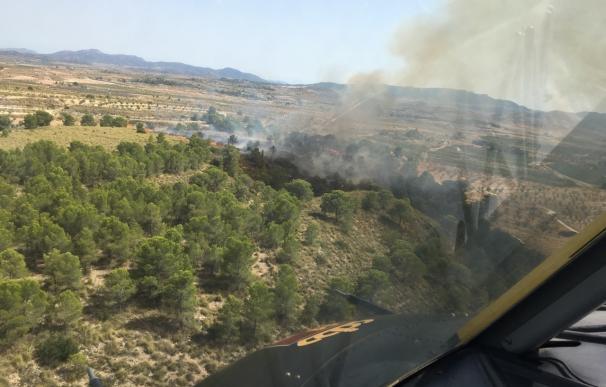 El incendio declarado en la Sierra del Carche calcina 1,3 hectáreas de terreno forestal