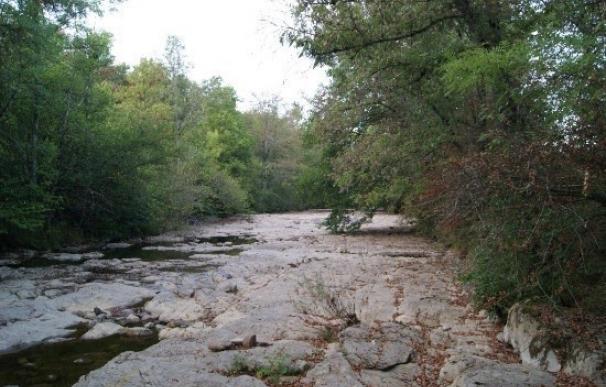 Ayuntamiento de Zuia (Álava) denuncia el desabastecimiento de agua en el municipio durante el verano