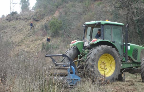 Endesa invierte 236.000 euros en labores de limpieza de zonas boscosas cercanas a las líneas eléctricas de las Pitiusas