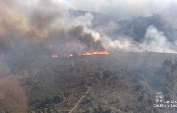 Declarado nivel 2 en Trabazos (Zamora) por posible afección a Latedo en un fuego originado en Portugal
