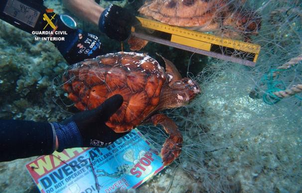 Los GEAS de la Guardia Civil recuperan una red de pesca abandonada con dos tortugas marinas ahogadas