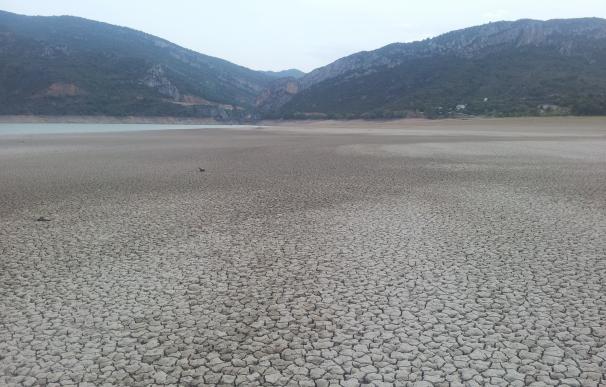 La CHMS decidirá en septiembre si decreta la alerta por sequía tras un año hidrológico con un 40% menos de lluvias