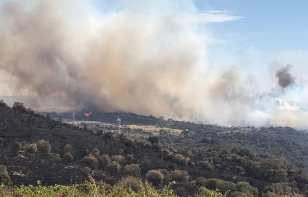 Continúa activo y en nivel 1 el fuego declarado en Fermoselle (Zamora) este domingo