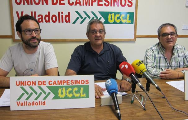 Valladolid acoge el sábado el X Mercado Ecológico de la UCCL, que acusa a la Junta de "nulo" apoyo al sector