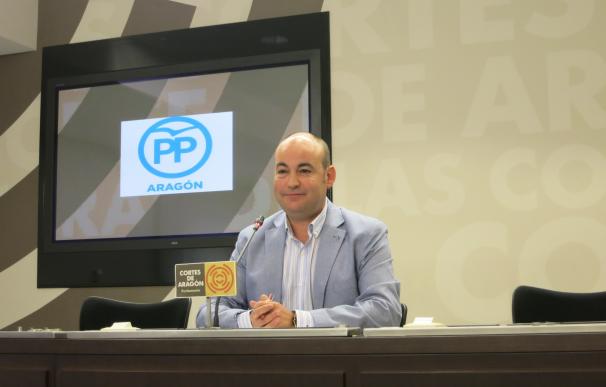 PP lamenta la "dejación" del Gobierno de Aragón con las federaciones deportivas, "que llevan casi dos años sin cobrar"