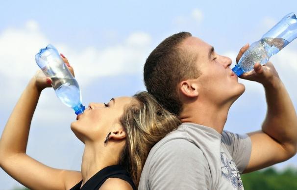 Disminuir el consumo de sal y aumentar la hidratación es clave para evitar cálculos renales en verano, según un experto