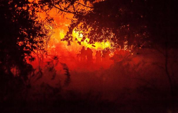 Oliver Laxe convivirá 15 días con brigadas contra el fuego de Ourense para su próxima película 'Aquilo que arde'