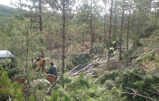 La CHE inicia una actuación de prevención de incendios forestales en montes de la provincia de Huesca