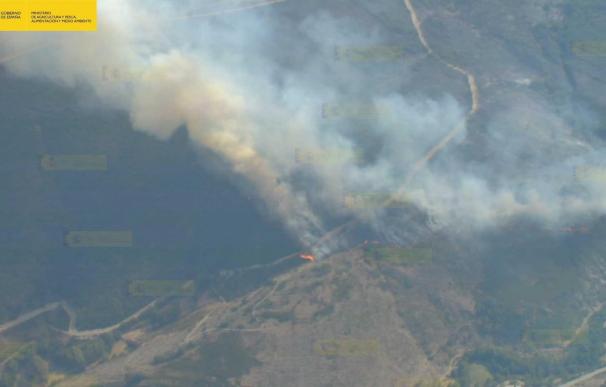 Medio Ambiente amplía a 15 el número de aeronaves que combaten el fuego declarado en Encinedo (León)