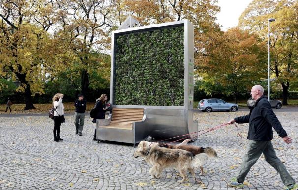 City Tree, un 'bosque portátil' que absorbe la contaminación del aire en la ciudad